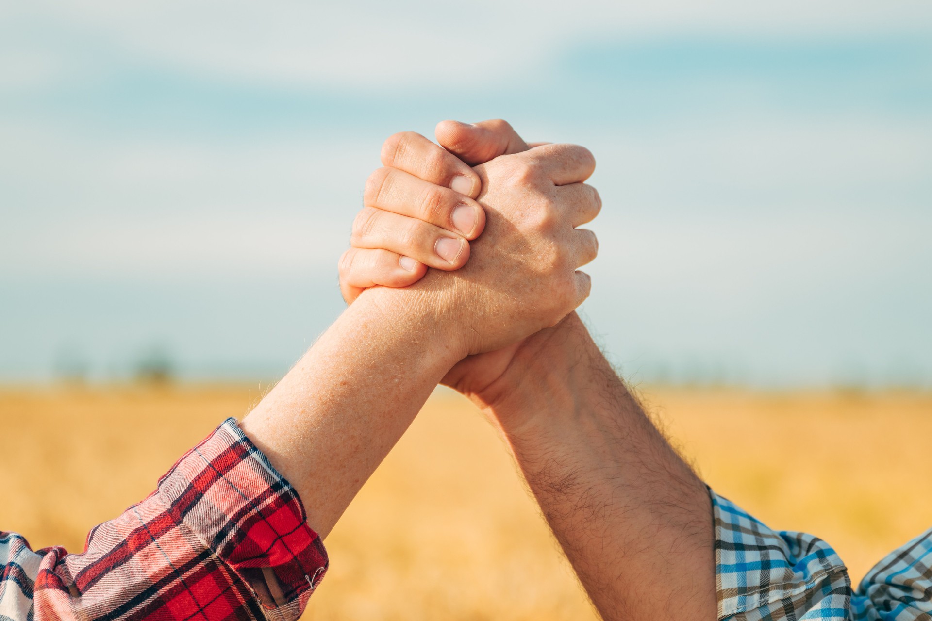 Homie handshake, male and female farmer shaking hands in ripe harvest ready wheat plantation field in sunny summer day